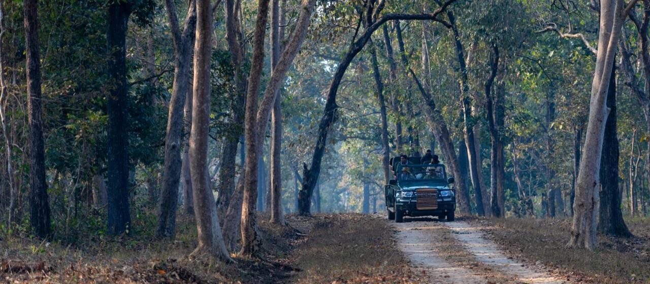 Banjaar Tola Kanha National Park - A Taj Safari Lodge Luaran gambar